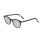 transparent background