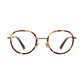 マーティン ハヴァナ オプティカル (transparent)