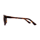 transparent background